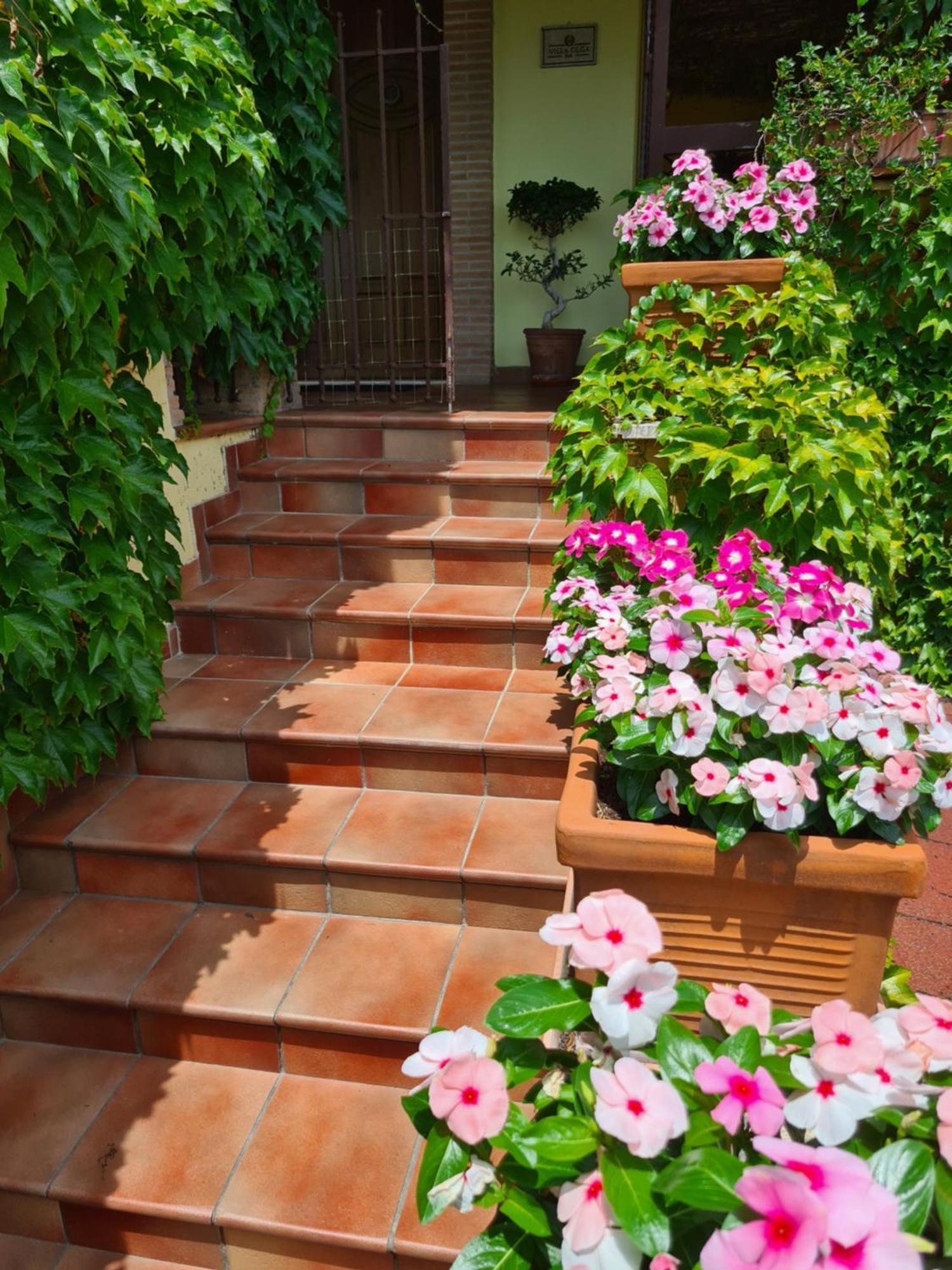 Villa Olga B&B ฟอร์เมีย ภายนอก รูปภาพ