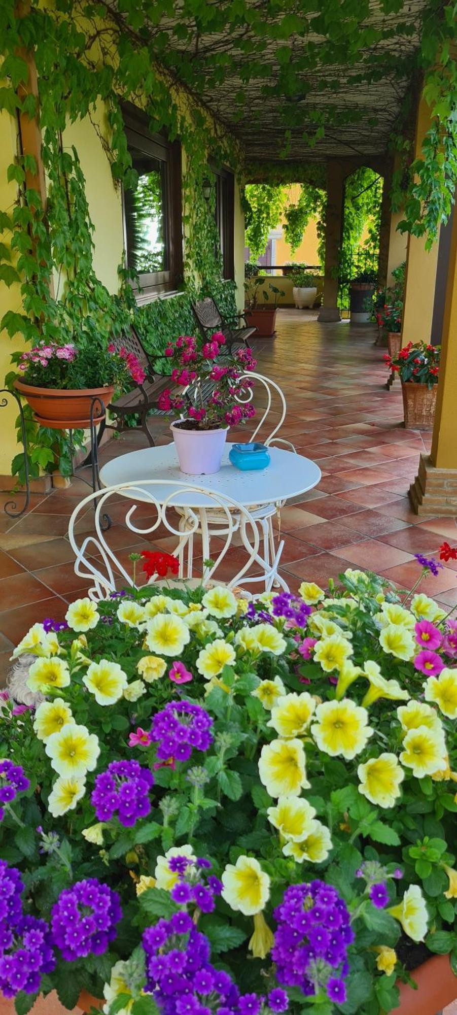 Villa Olga B&B ฟอร์เมีย ภายนอก รูปภาพ
