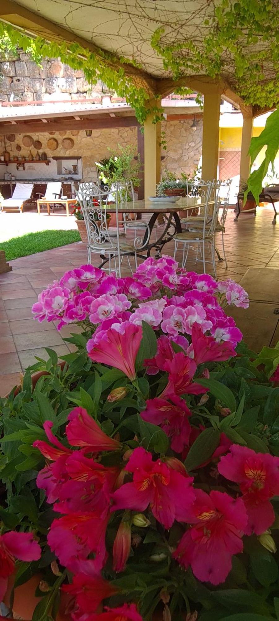 Villa Olga B&B ฟอร์เมีย ภายนอก รูปภาพ
